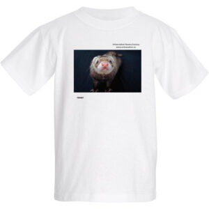 Animal T Shirts